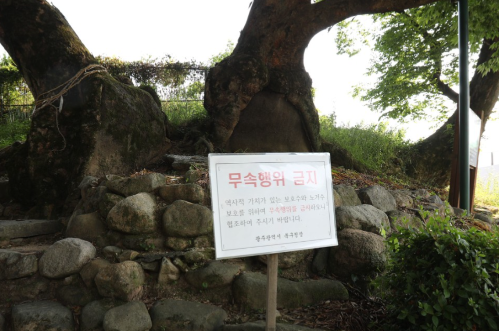 기도터 사진