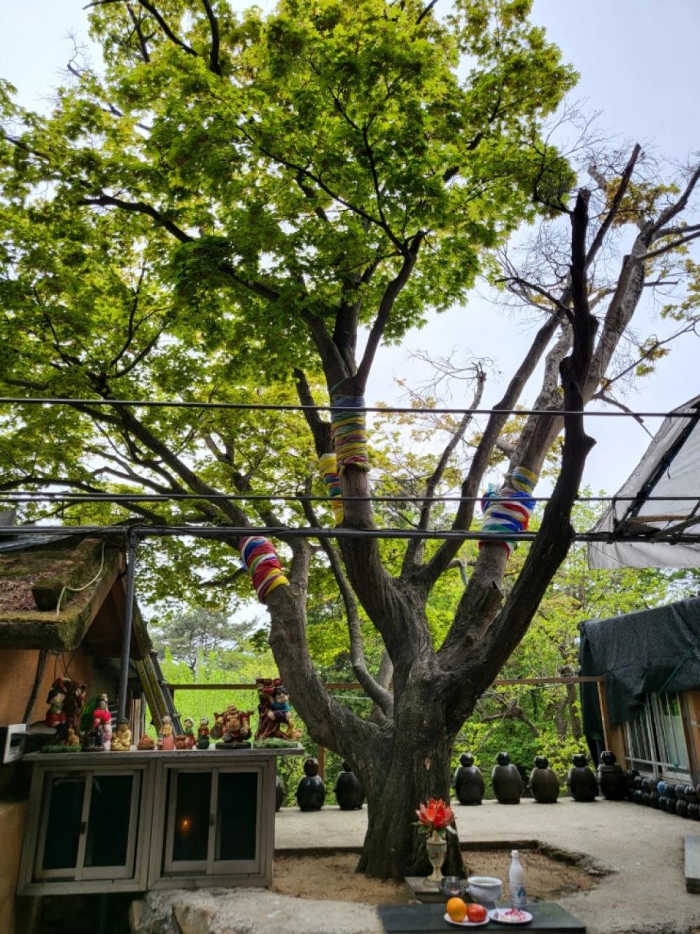 기도터 사진