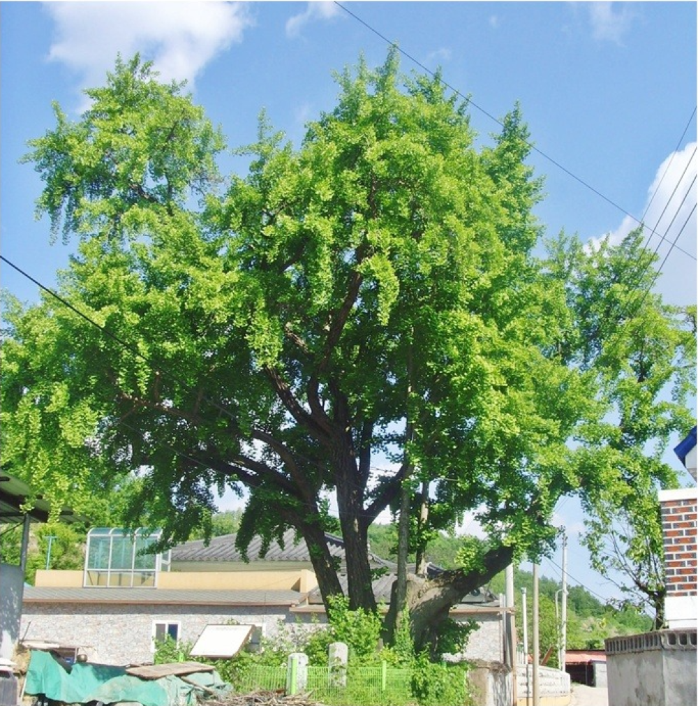 기도터 사진