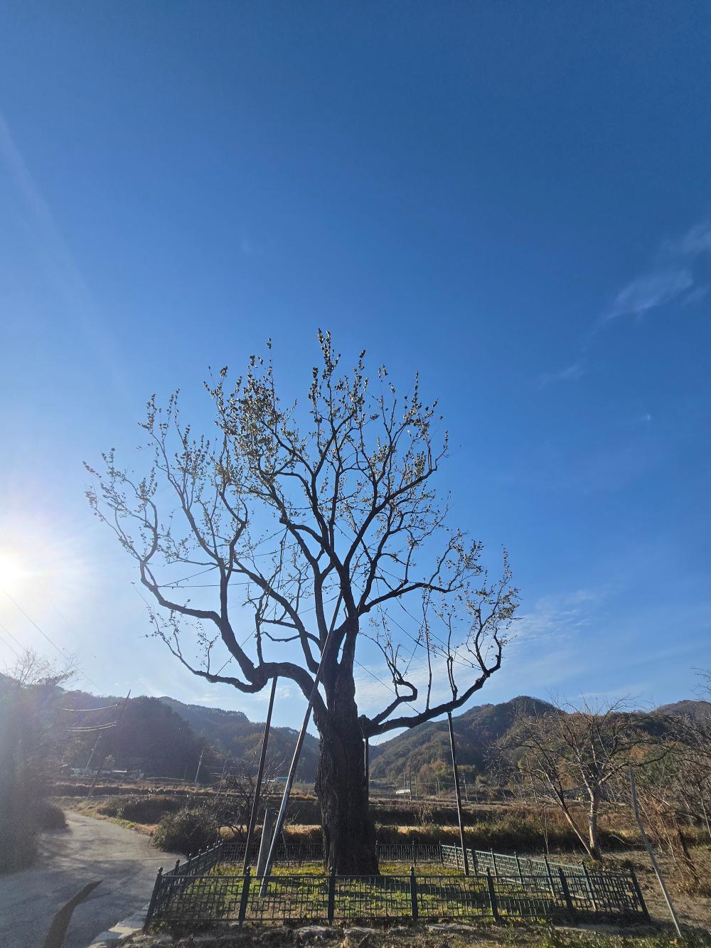 기도터 후기 사진