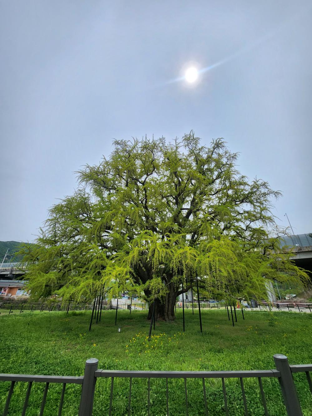 기도터 사진