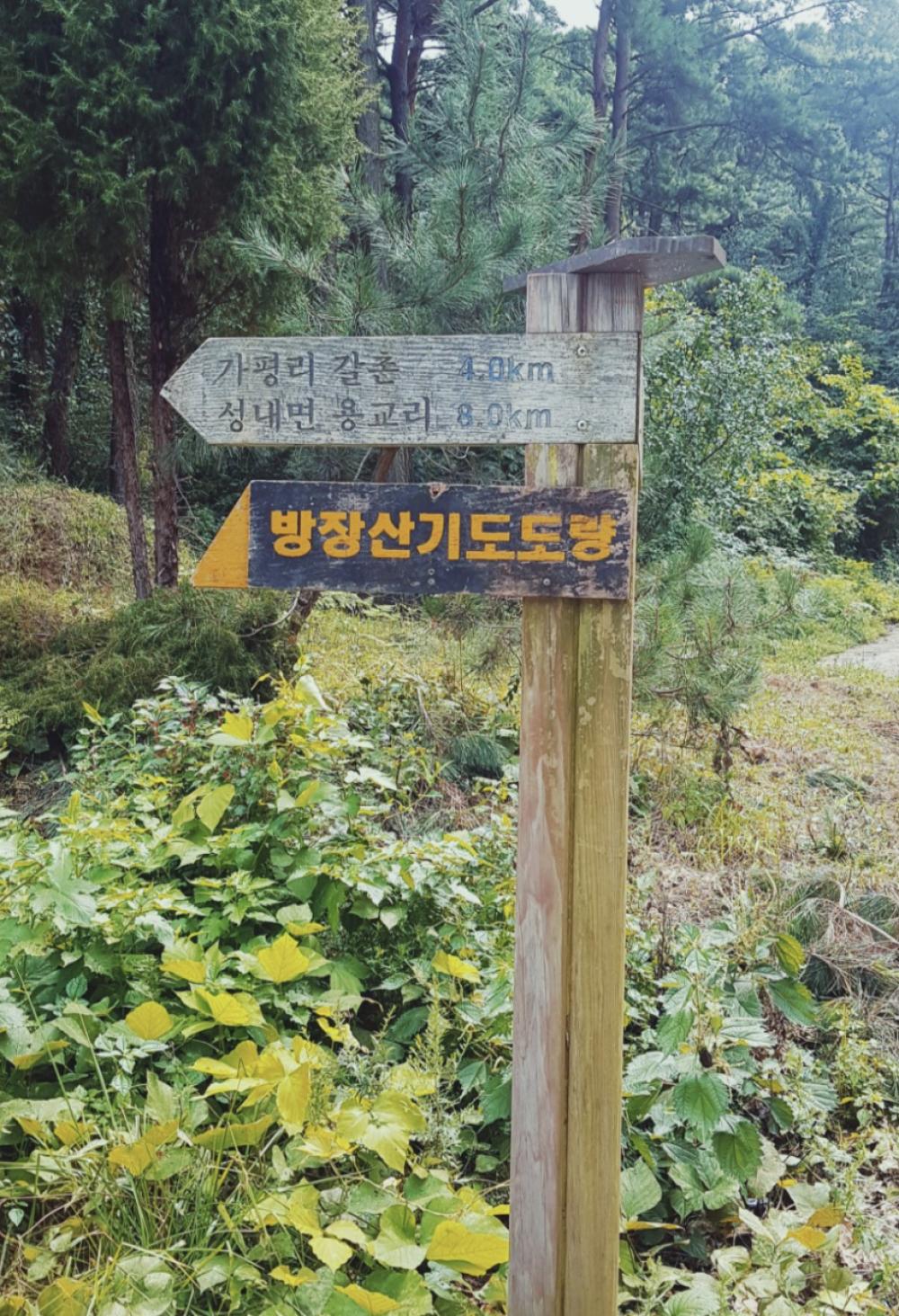기도터 이미지