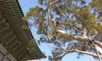 기도터 사진