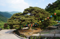 기도터 사진