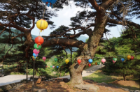 기도터 사진