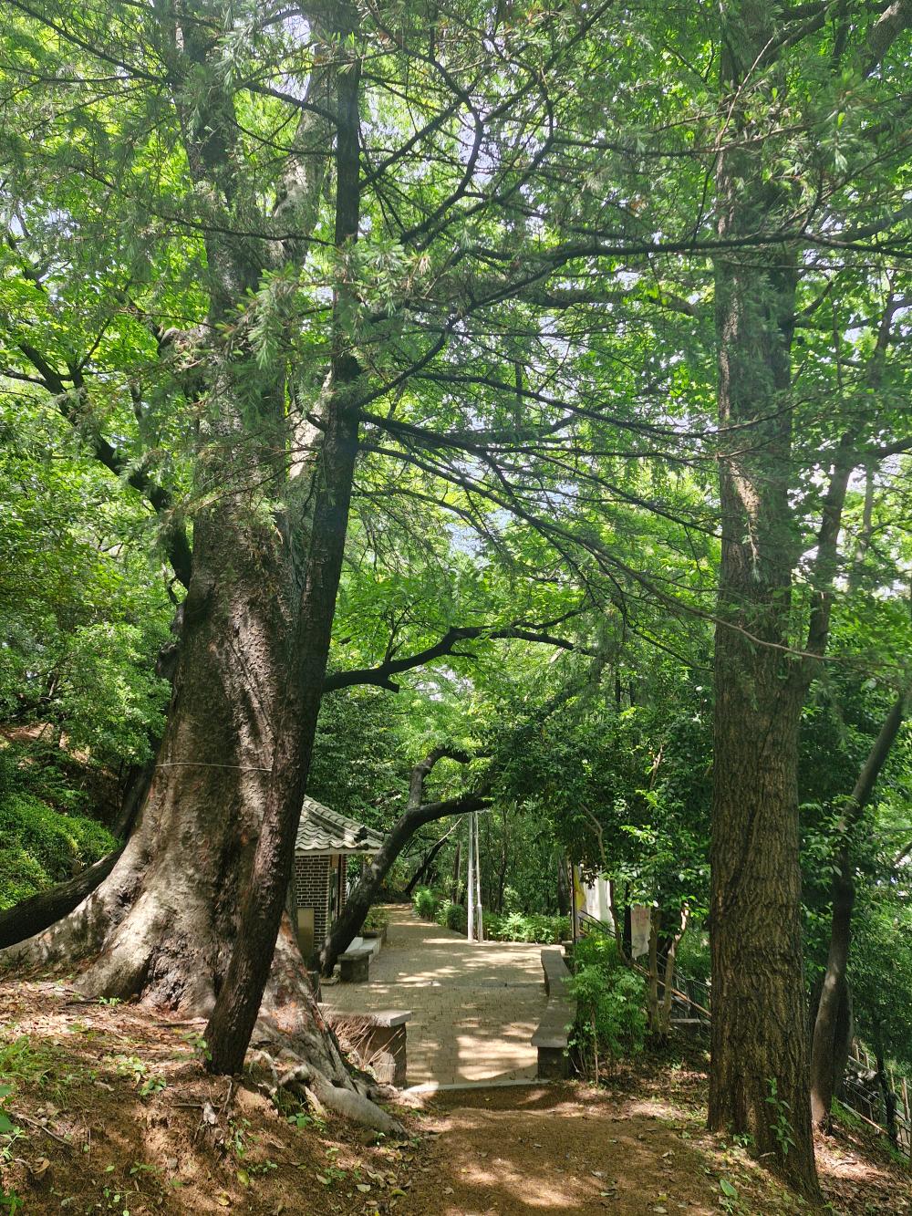 기도터 사진