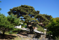 기도터 사진
