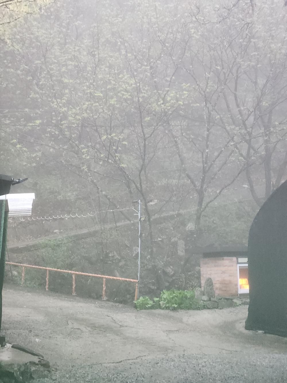 기도터 사진