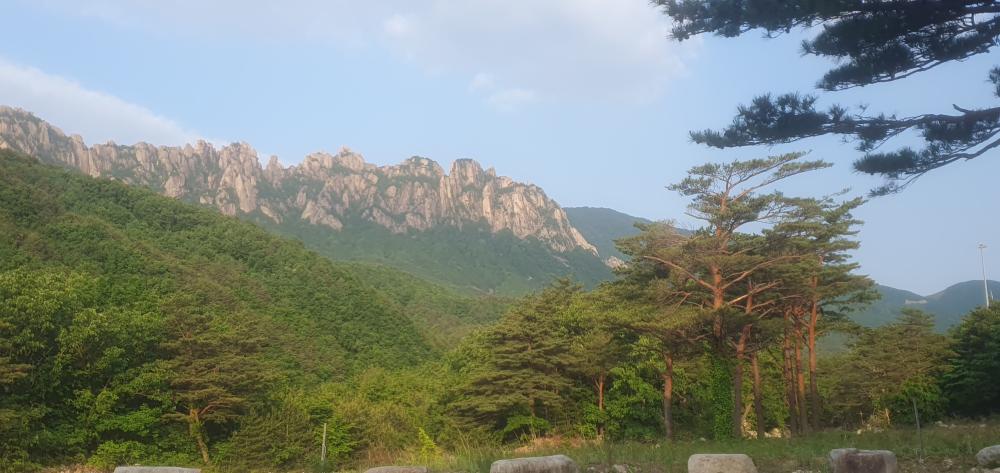 기도터 사진