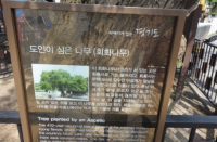 기도터 사진