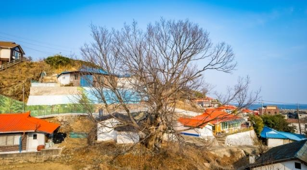경북 기도터 | 노물리 안마을 제당