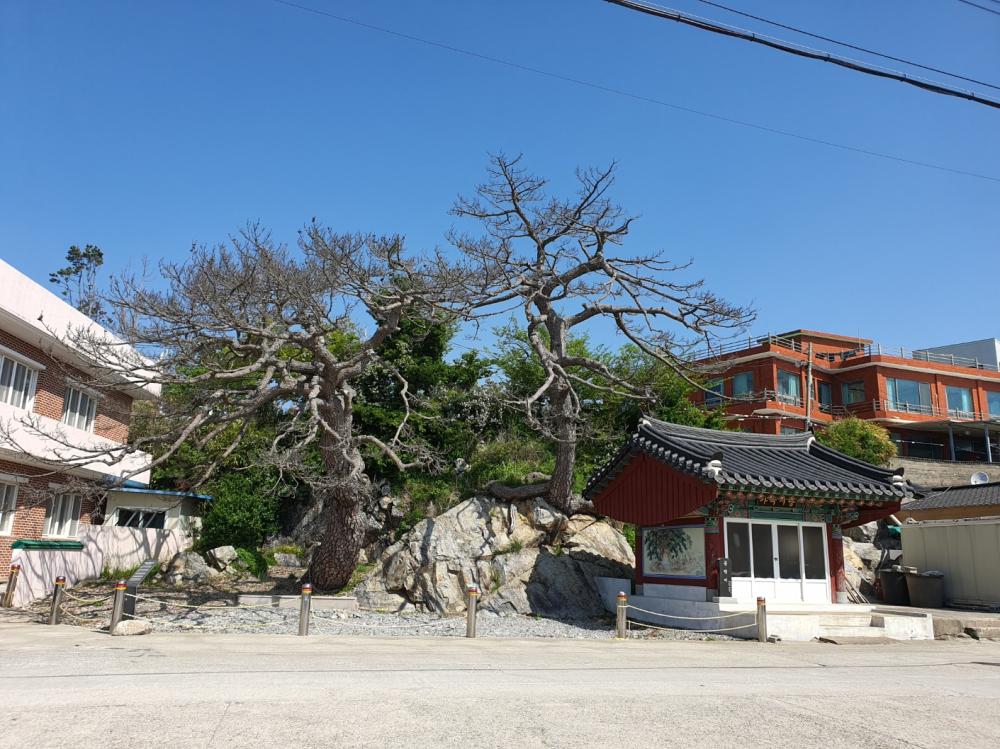 기도터 이미지