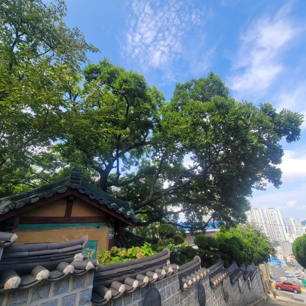 기도터 사진