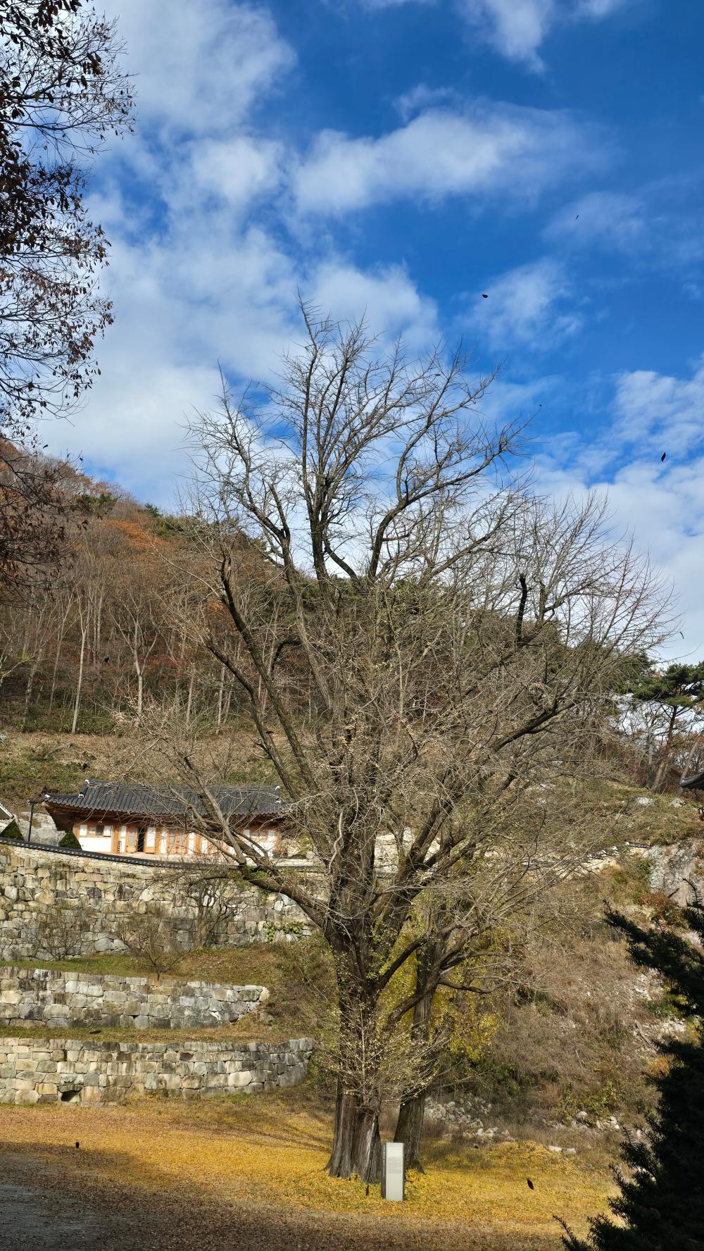 기도터 후기 사진