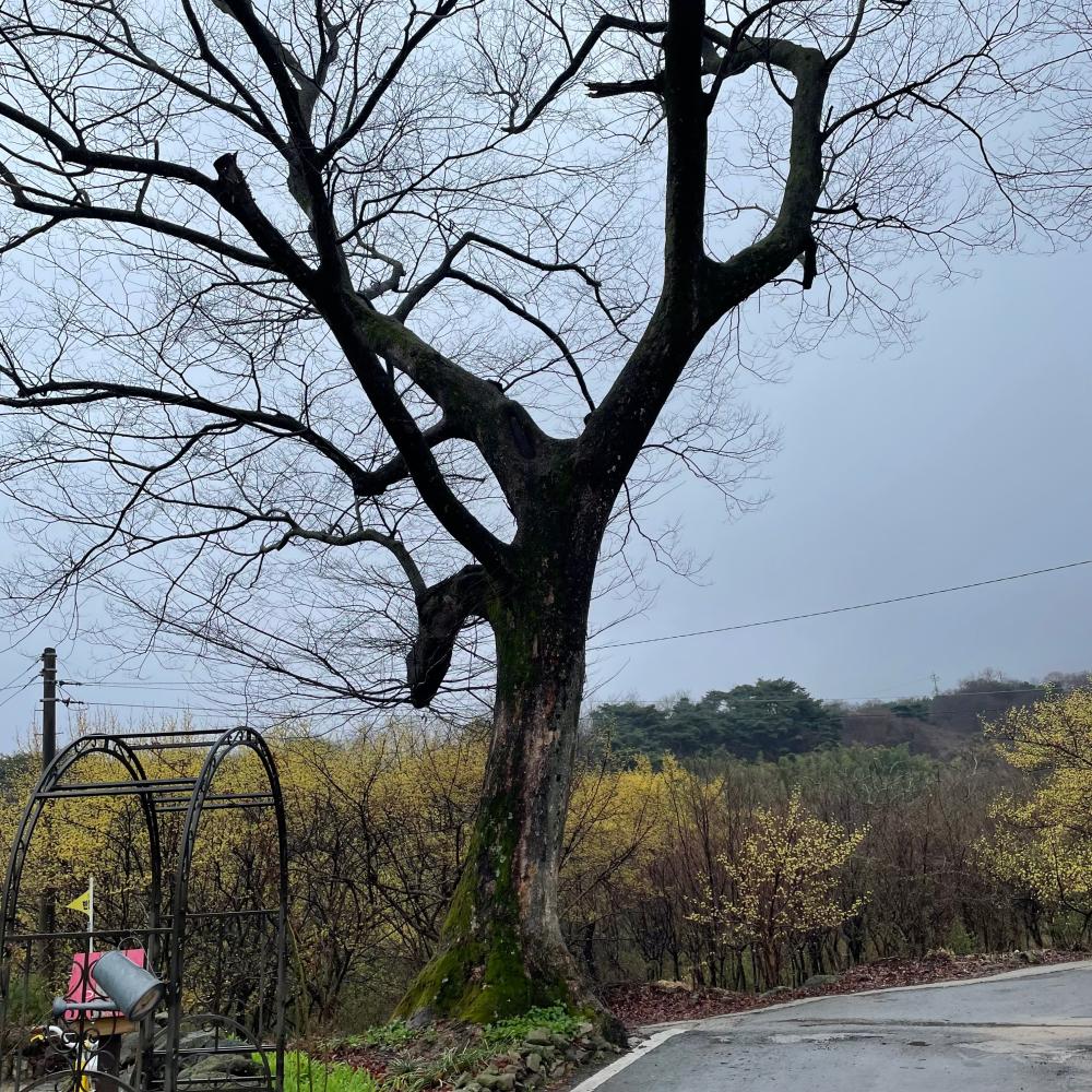 기도터 사진