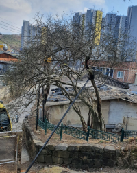 기도터 사진