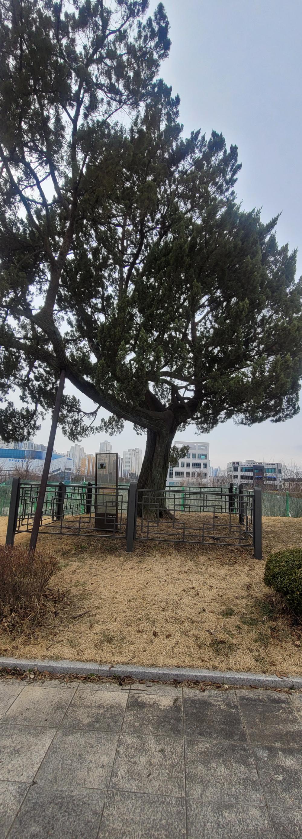 기도터 사진