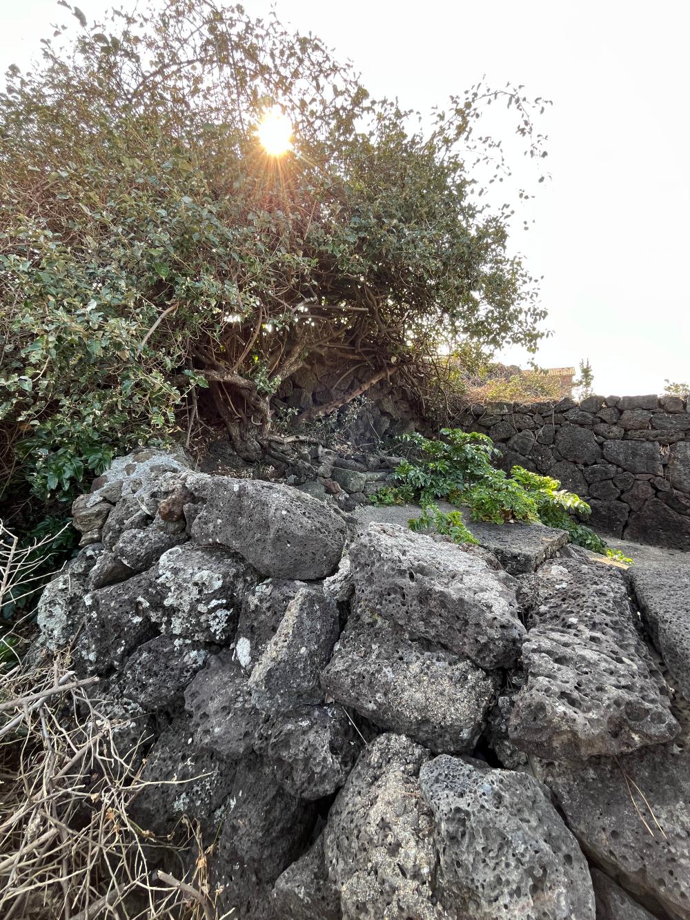 기도터 후기 사진