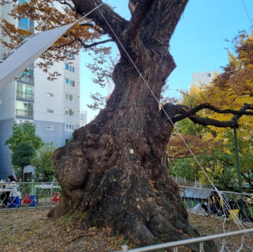 기도터 사진