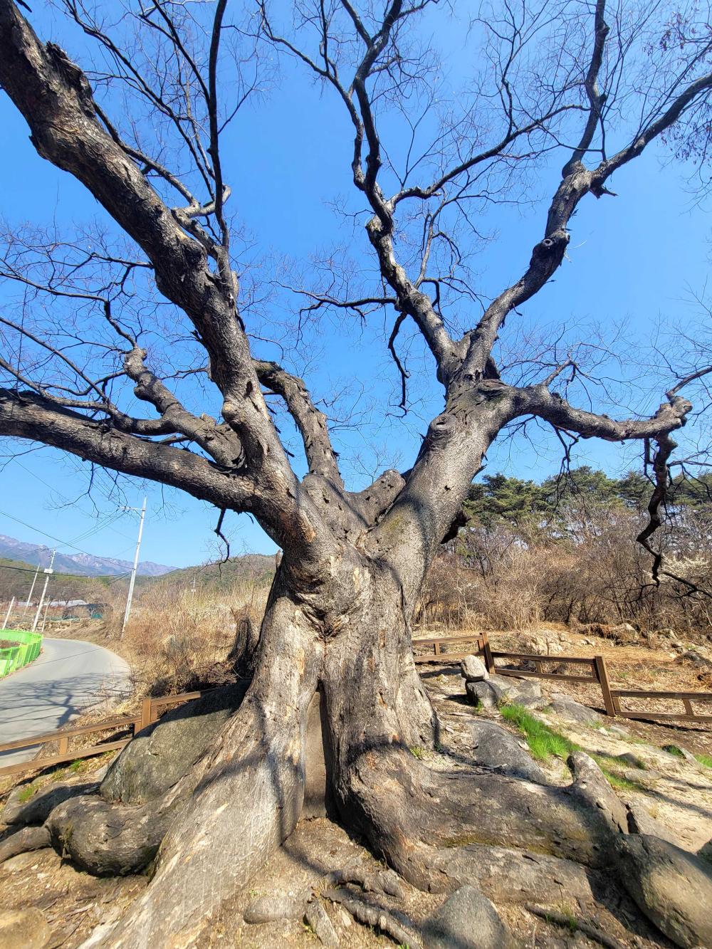 기도터 사진
