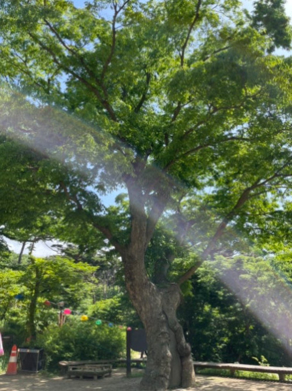 기도터 사진