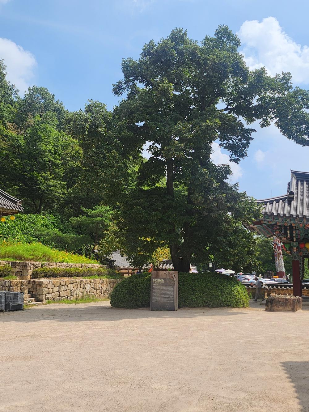 기도터 후기 사진