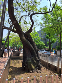 기도터 사진