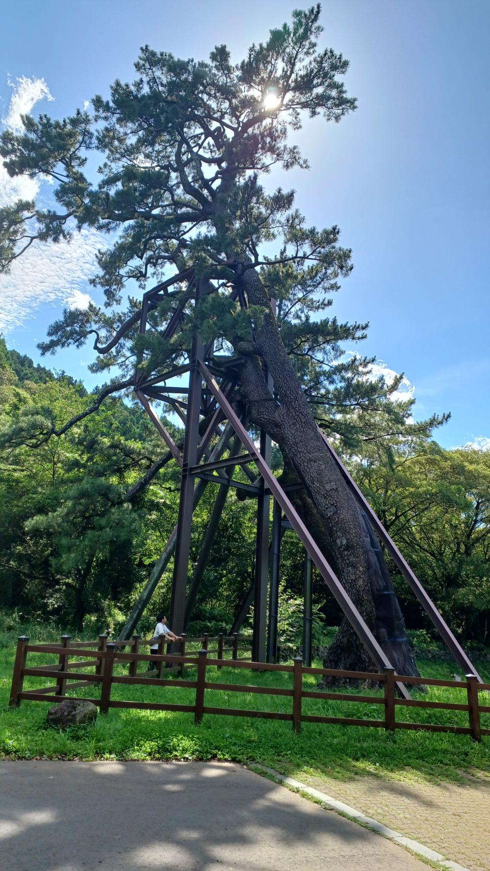 기도터 사진