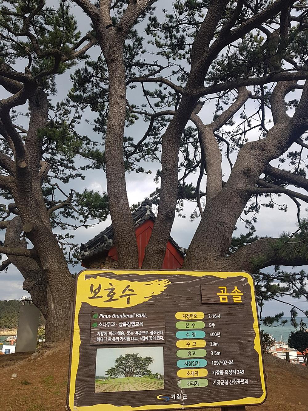 기도터 이미지