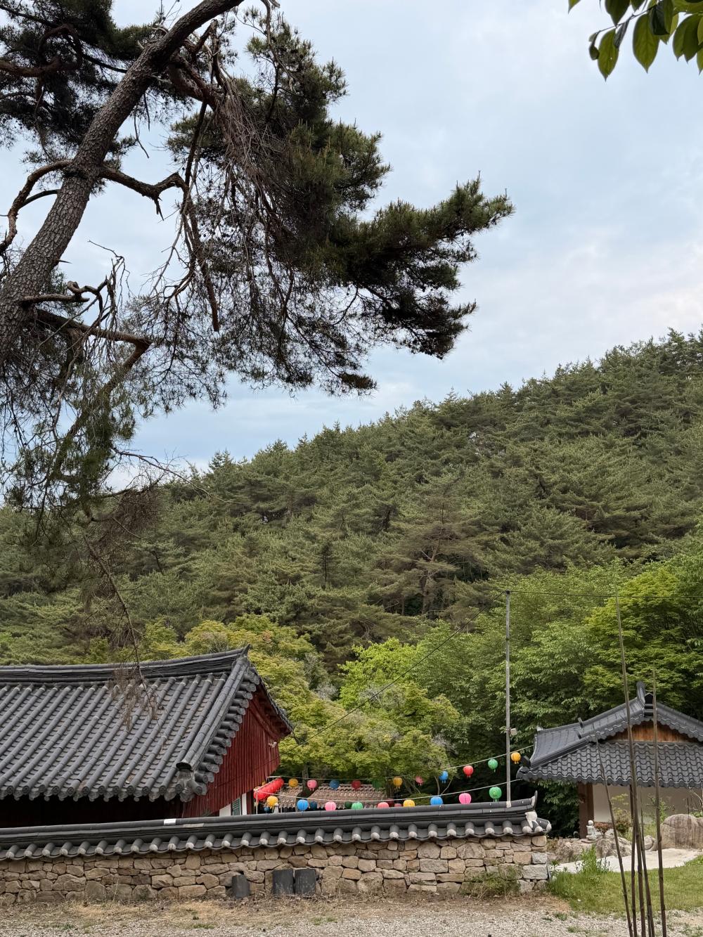 기도터 후기 사진