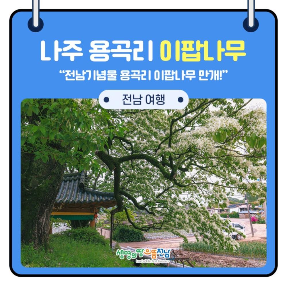 기도터 사진