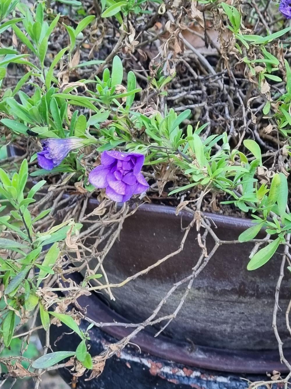 기도터 후기 사진