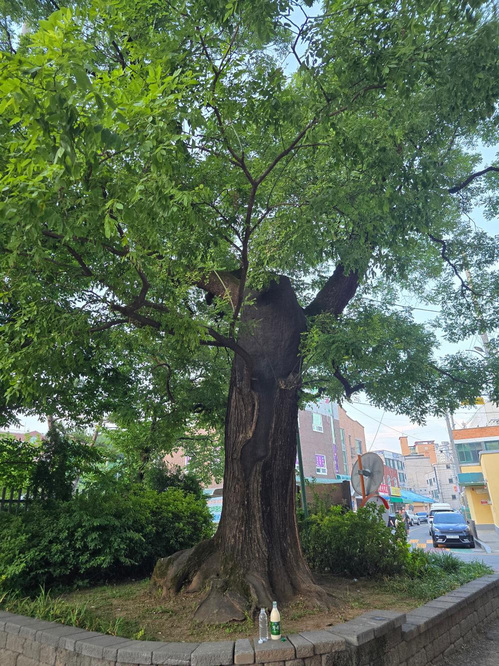 기도터 사진