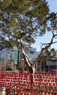 기도터 사진