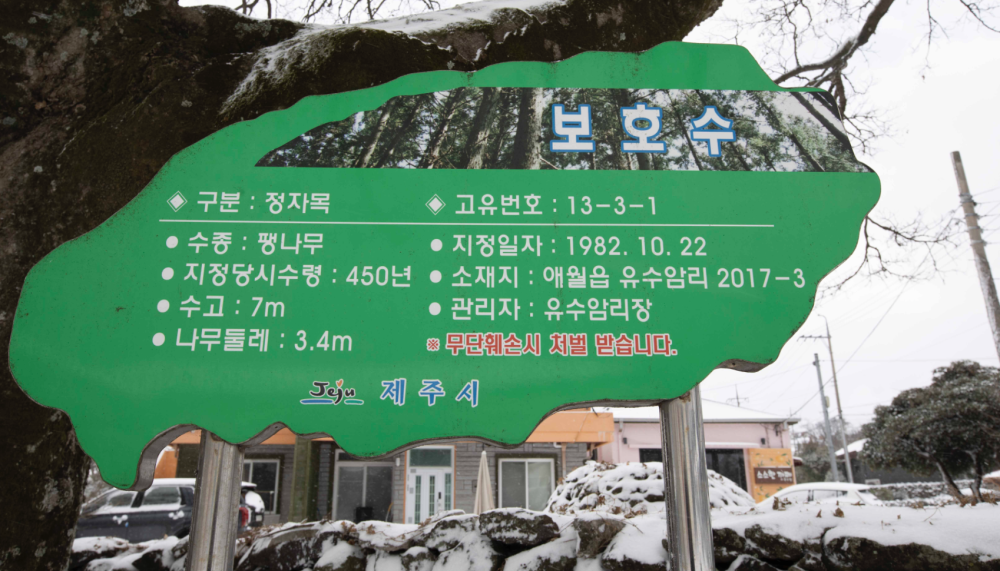 기도터 사진