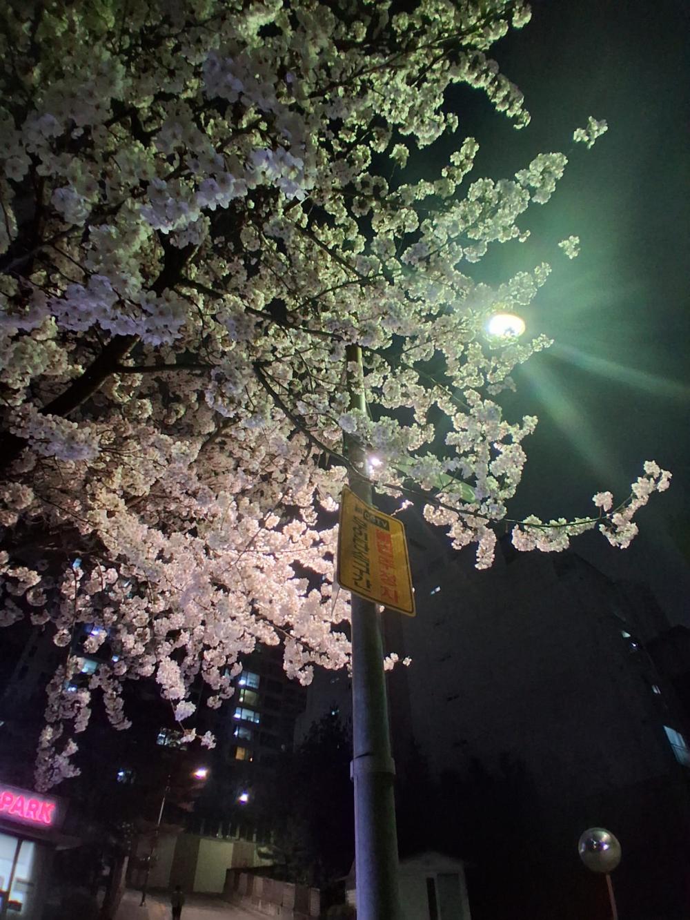 기도터 후기 사진