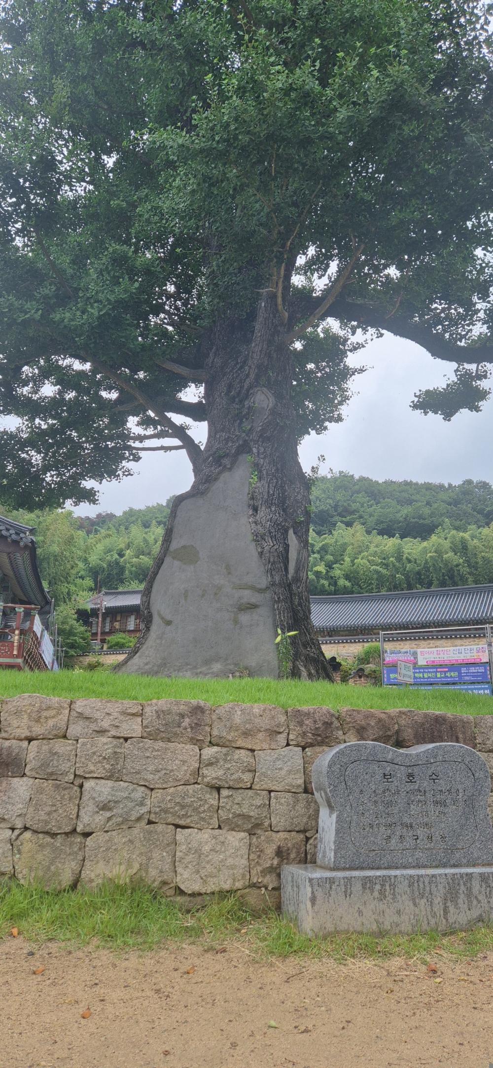 기도터 후기 사진