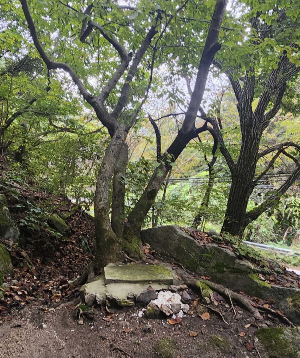 기도터 사진
