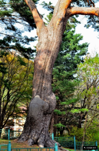 기도터 사진