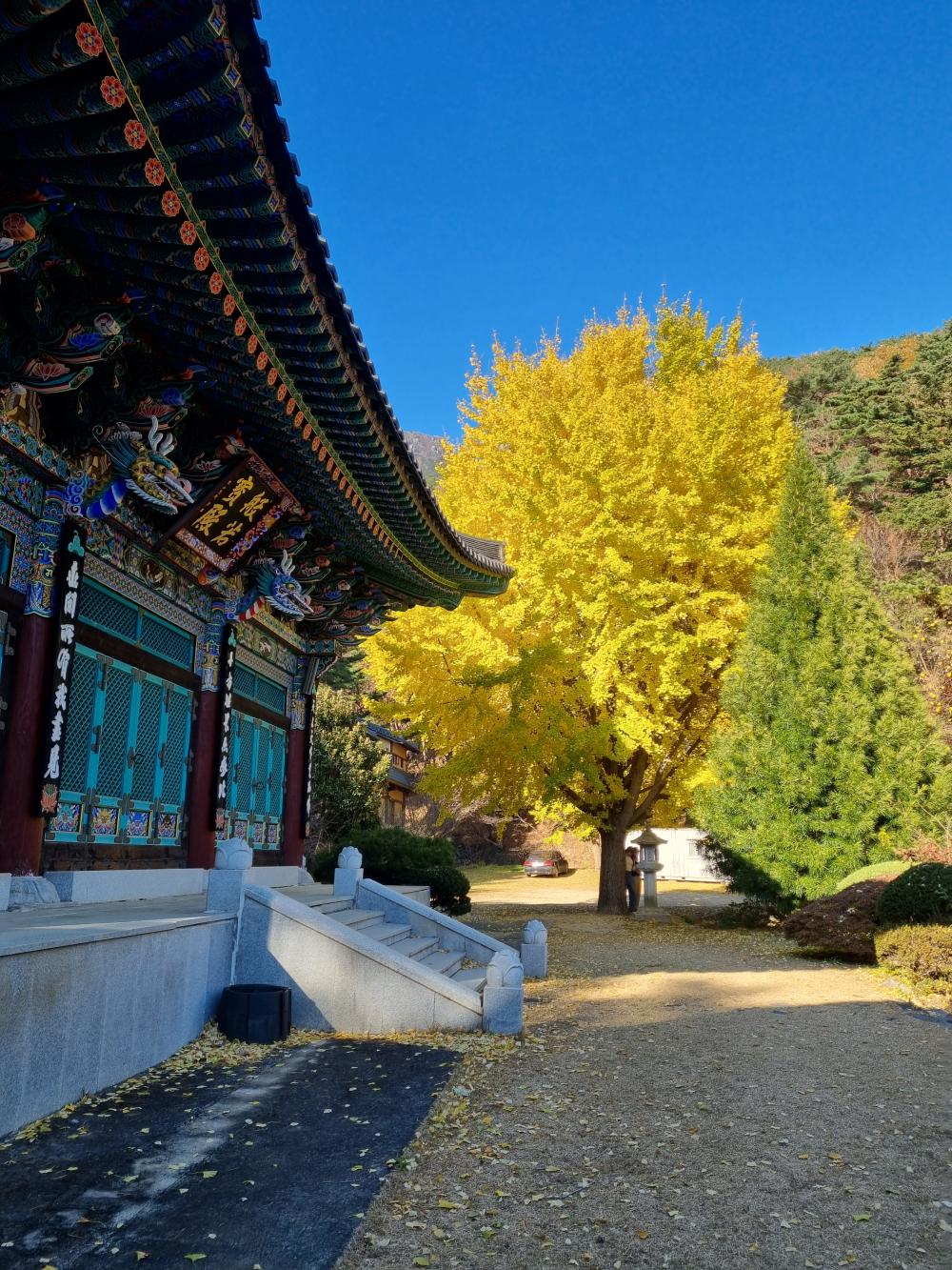 기도터 후기 사진