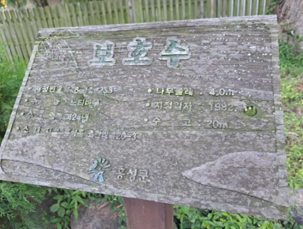 기도터 이미지