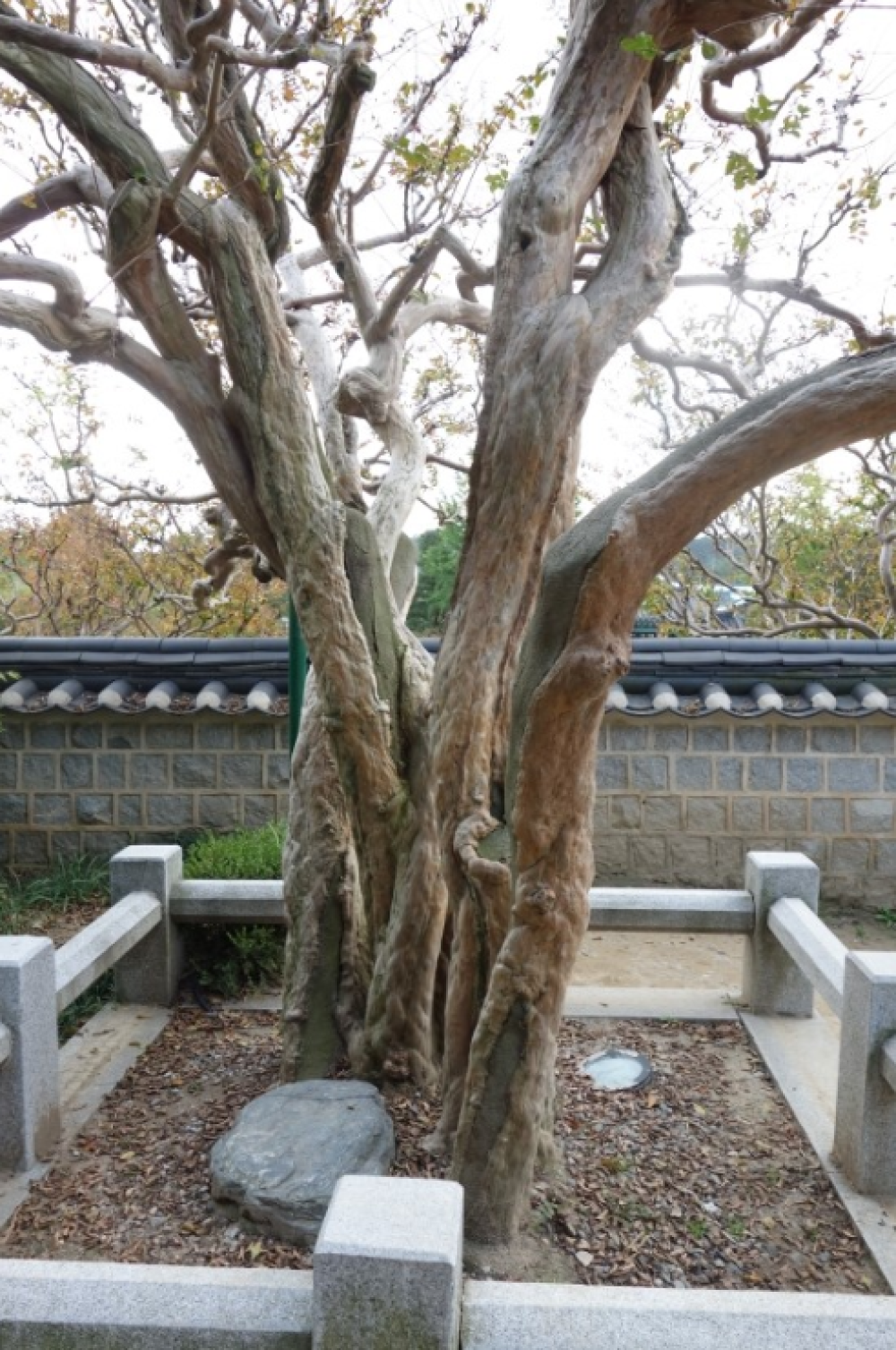 기도터 사진