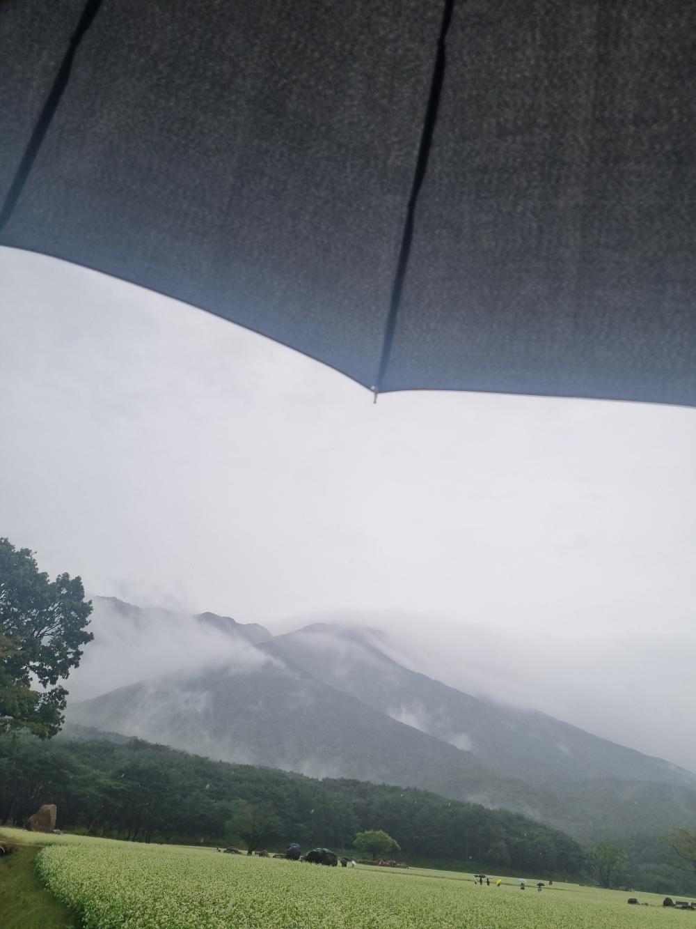 기도터 사진