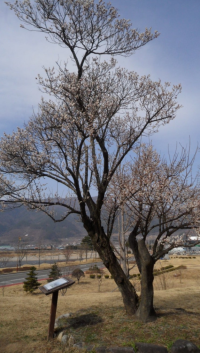기도터 사진