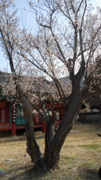 기도터 사진