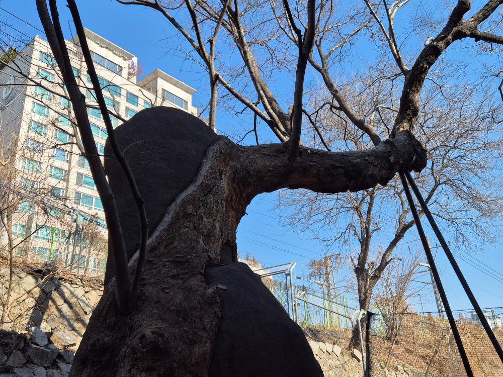 κΈ°λν° νκΈ° μ¬μ§