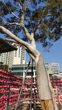 기도터 사진