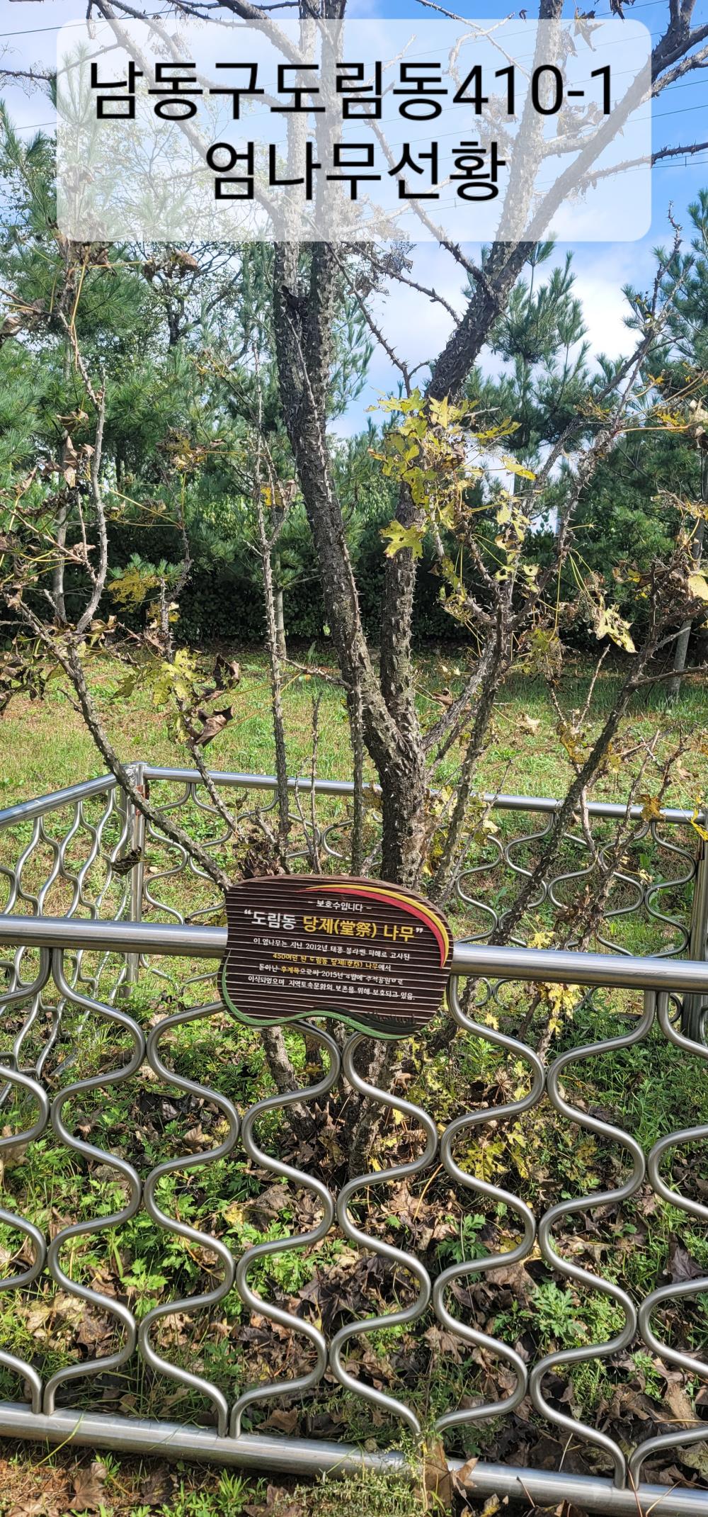 기도터 사진