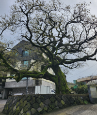 기도터 사진