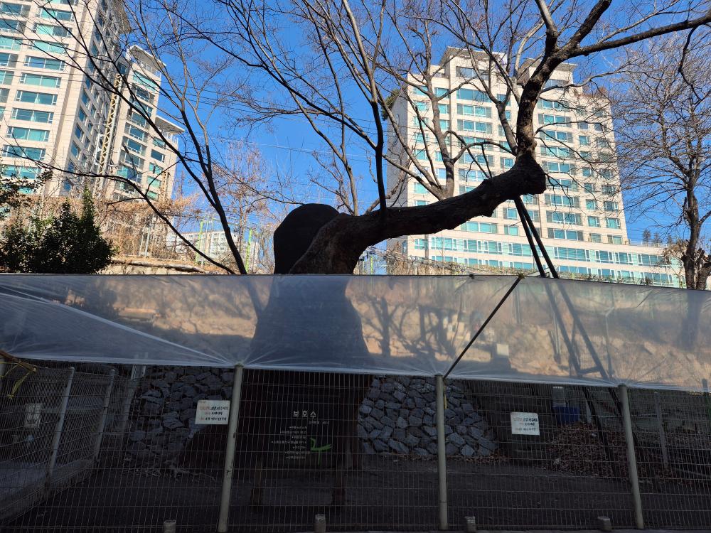 κΈ°λν° νκΈ° μ¬μ§